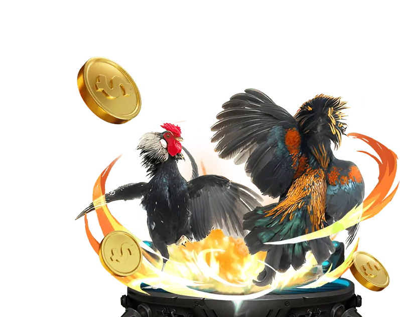 Cá Cược Đá Gà Trực Tiếp oxbet cc